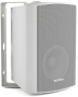 Громкоговоритель настенный CVGaudio NF5TW