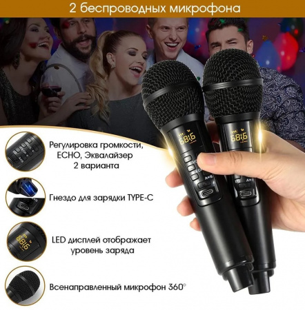 Караоке система с двумя радиомикрофонами  SDRD SD-319 Emerald Green