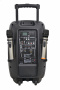 Портативная Акустическая система AURA A212MP3-Battery
