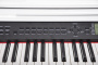Цифровое пианино Grand Sound GS-X120 WH