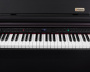 Цифровое пианино Artesia DP-10E Rosewood