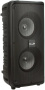 Портативная Акустическая система ELTRONIC EL 20-20 FIRE BOX 300