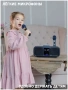 Караоке система с двумя радиомикрофонами SDRD SD 318 Dark Blue